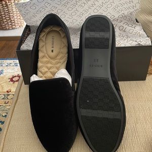 Birdies The Starling